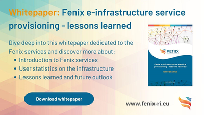 Whitepaper on Fenix Service Provisioning and Lessons Learned in ICEI